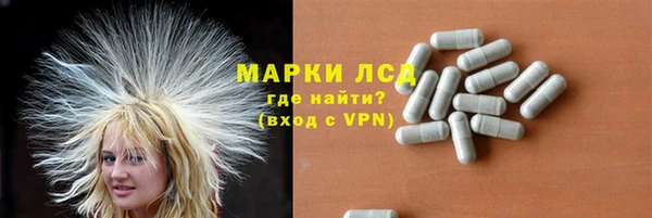 apvp Бородино