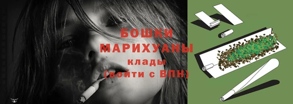 PSILOCYBIN Бронницы