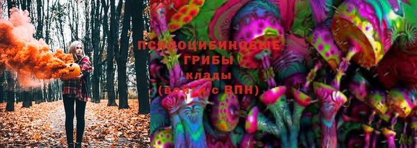 apvp Бородино