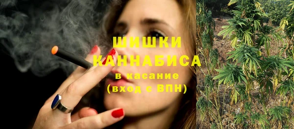 PSILOCYBIN Бронницы