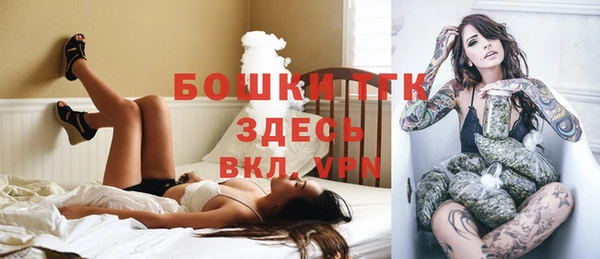 apvp Бородино
