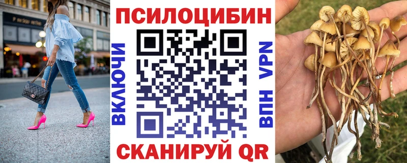 Купить  Удомля  Галлюциногенные грибы прущие грибы 